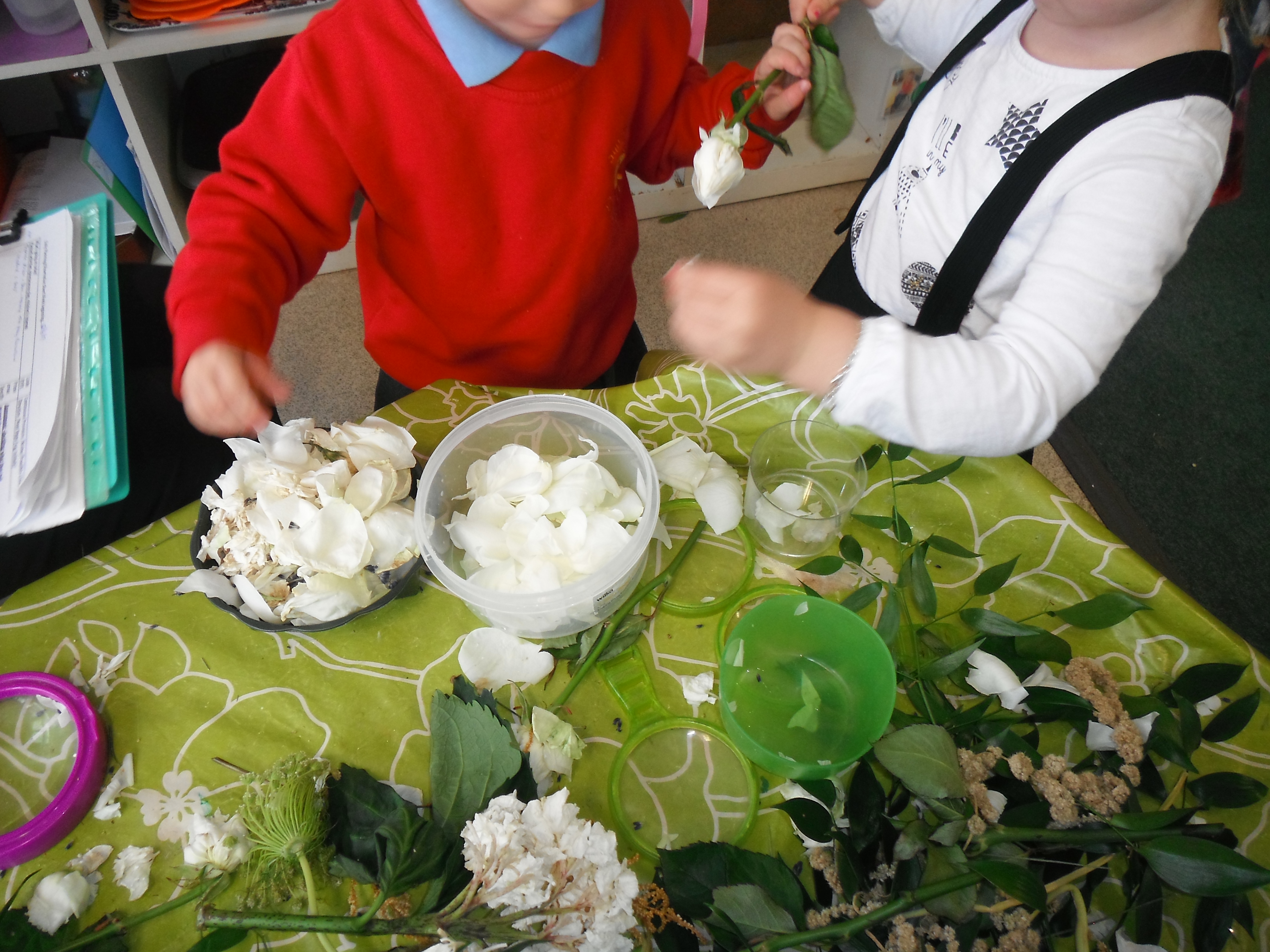 Sensory play with flowers
